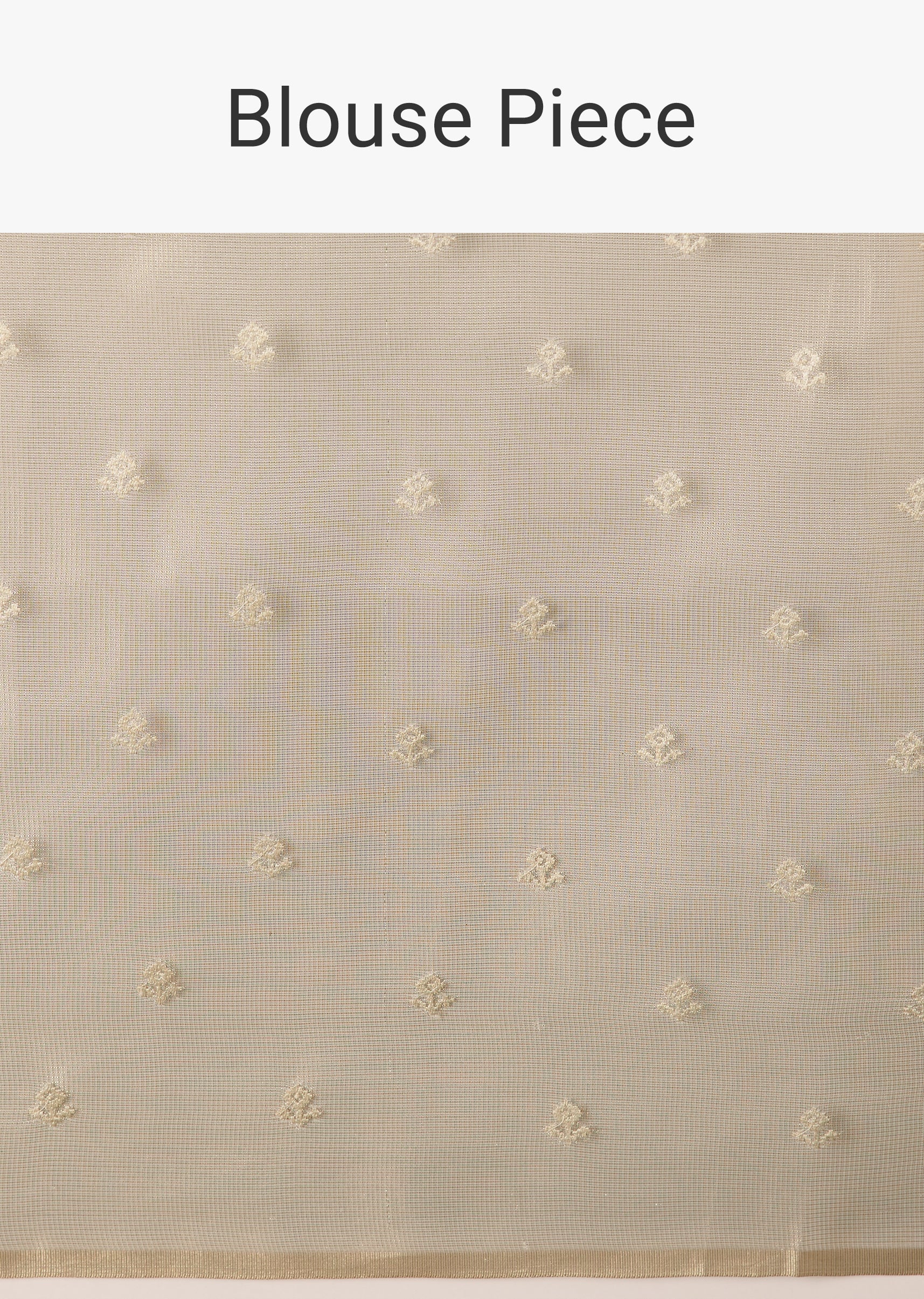 Beige Tissue Saree With Resham Thread Border And Mirror Work - Image 10