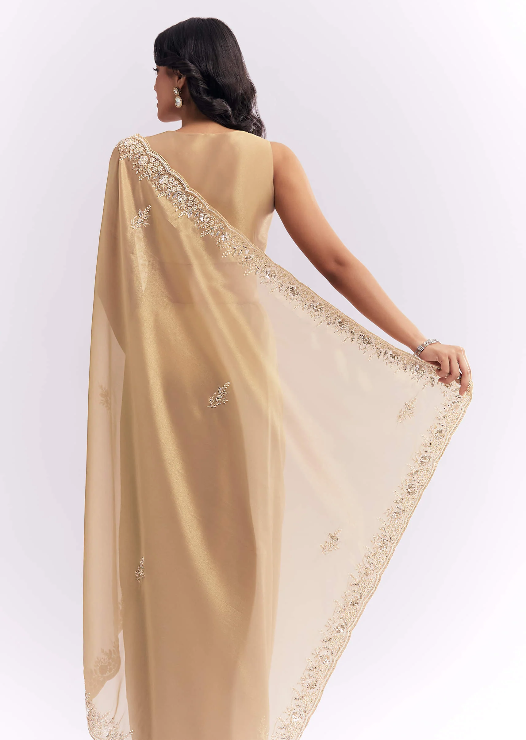 Beige Tissue Silk Saree With Heavy Hand Embroidery - Image 6