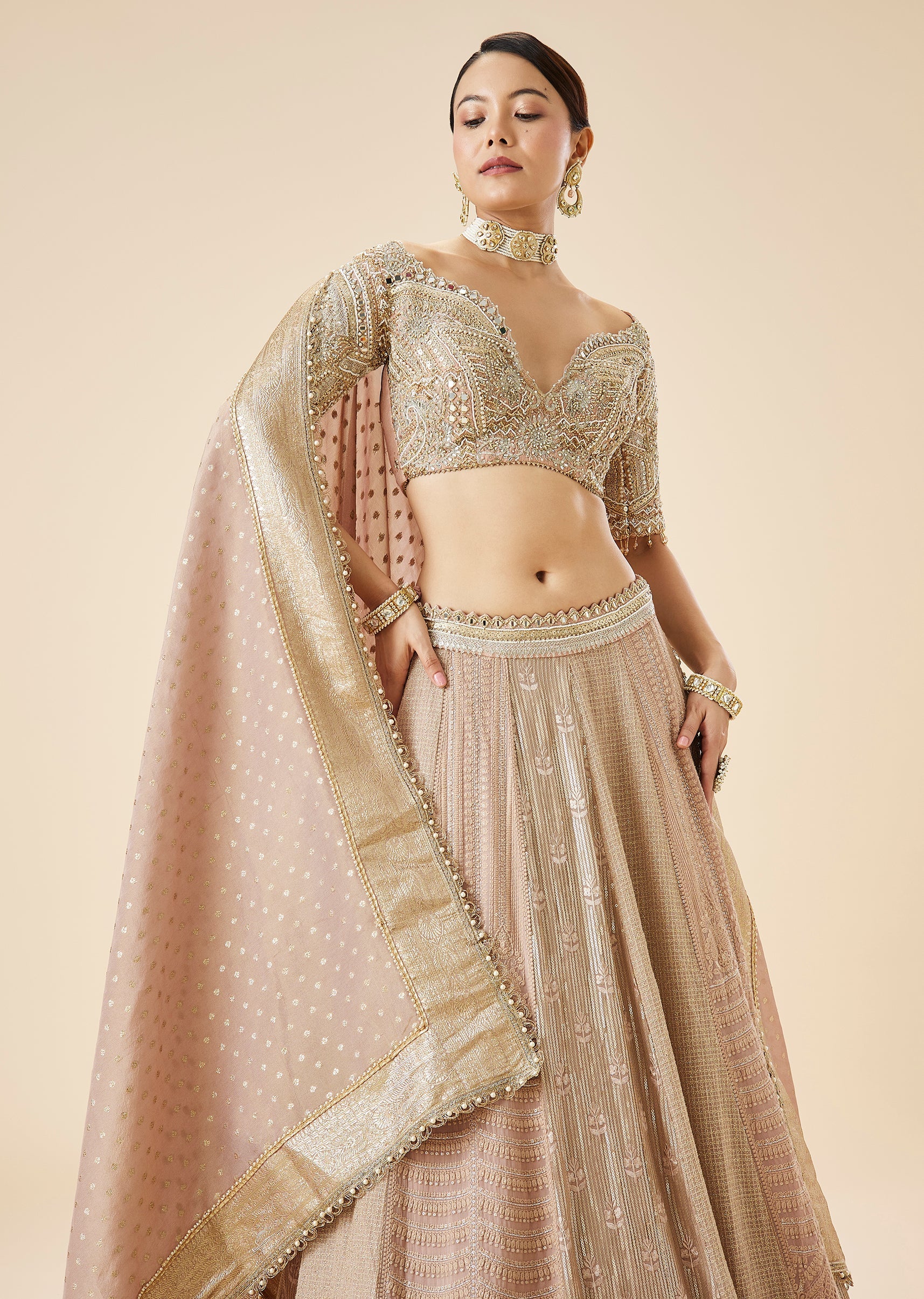 Dusty Pink Embroidered Lehenga Set - Image 5