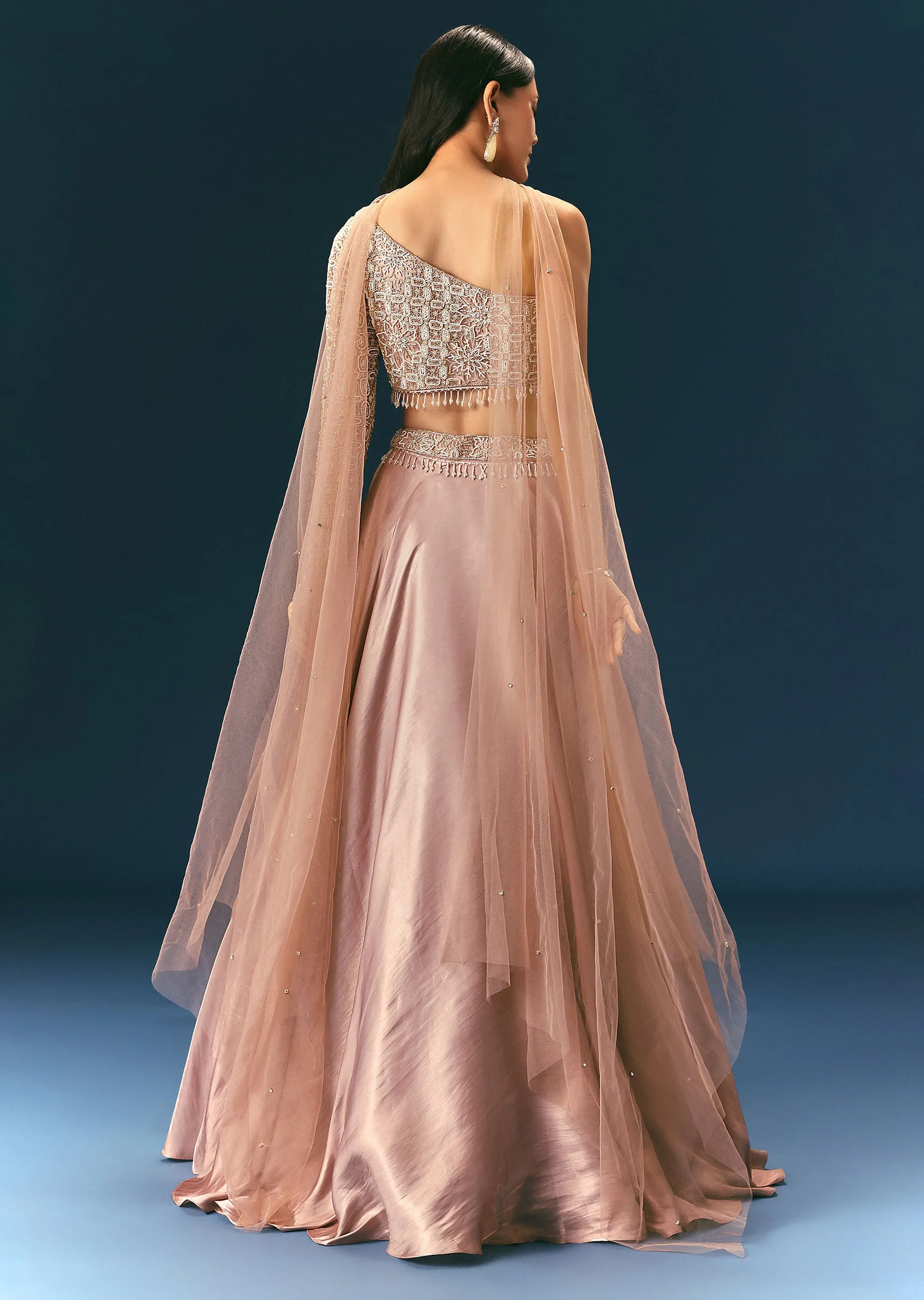 Oyster Organza Embroidered Lehenga Set With Dupatta - Image 5