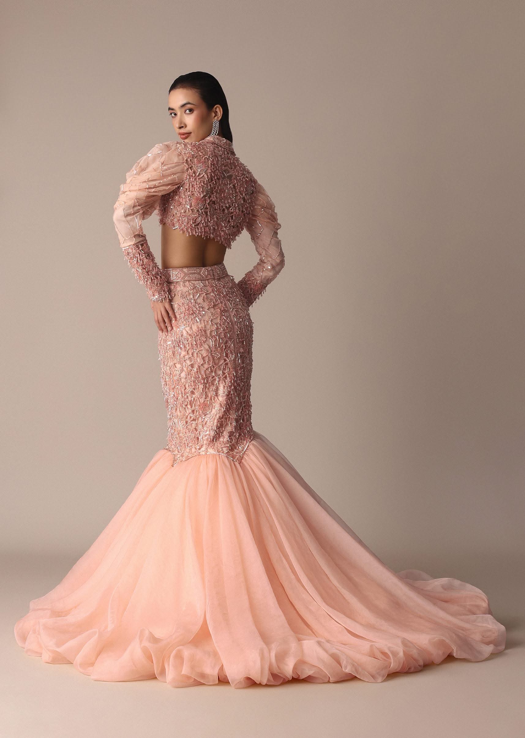 Peach Zardosi Fishcut Skirt With Embroidered Short Sleeve Jacket - Image 6